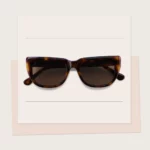 OEM ODM Customized Classic Sunglasses YT-CS309