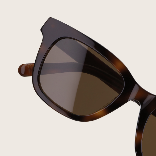 OEM ODM Customized Classic Sunglasses YT-CS311