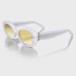 OEM ODM Customized Fashion Acetate Sunglasses YT-FAS110