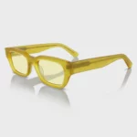 OEM ODM Customized Fashion Acetate Sunglasses YT-FAS119
