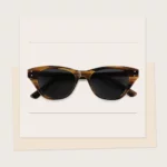OEM ODM Customized Classic Sunglasses YT-CS305