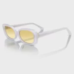 OEM ODM Customized Fashion Acetate Sunglasses YT-FAS112