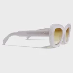 OEM ODM Customized Fashion Acetate Sunglasses YT-FAS113