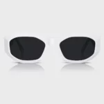 OEM ODM Customized Fashion Acetate Sunglasses YT-FAS115