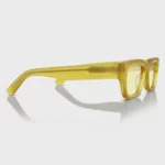 OEM ODM Customized Fashion Acetate Sunglasses YT-FAS119