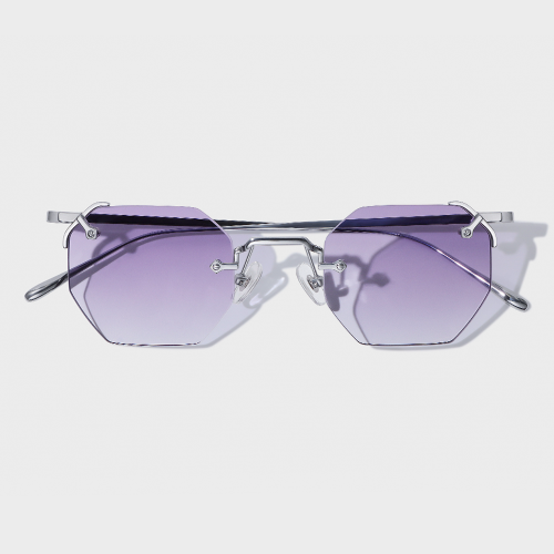 Titanium Sunglasses