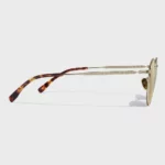 YET-021 Titanium Sunglasses