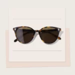 OEM ODM Customized Classic Acetate Sunglasses YET319